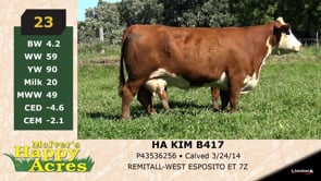 Lot #23 - HA KIM B417