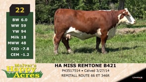 Lot #22 - HA MISS REMTONE B421