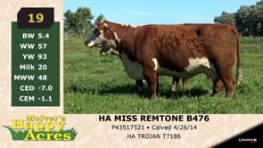 Lot #19 - HA MISS REMTONE B476
