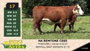 Lot #17 - HA REMTONE C565