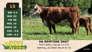 Lot #15 - HA REMTONE D607