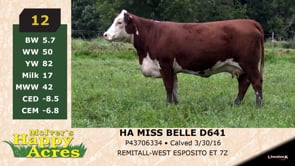 Lot #12 - HA MISS BELLE D641