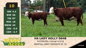 Lot #10 - HA LADY HOLLY D648