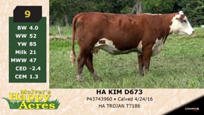 Lot #9 - HA KIM D673