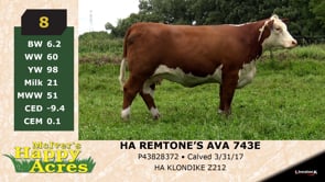 Lot #8 - HA REMTONE'S AVA 743E