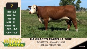 Lot #7 - HA GRACE'S ISABELLA 708E