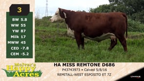 Lot #3 - HA MISS REMTONE D686
