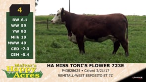 Lot #4 - HA MISS TONI'S FLOWER 723E