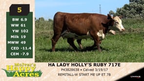 Lot #5 - HA LADY HOLLY'S RUBY 717E