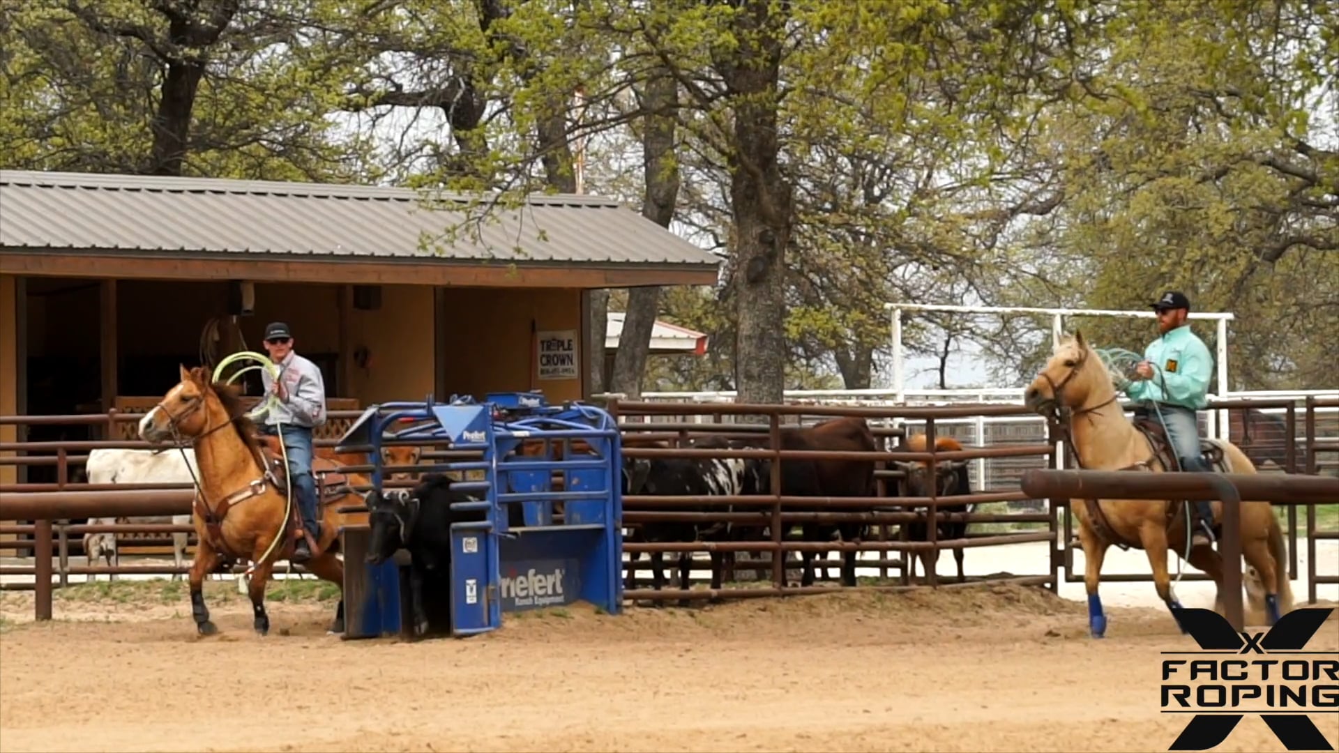 FREE Marty Becker and Dustin Searcy