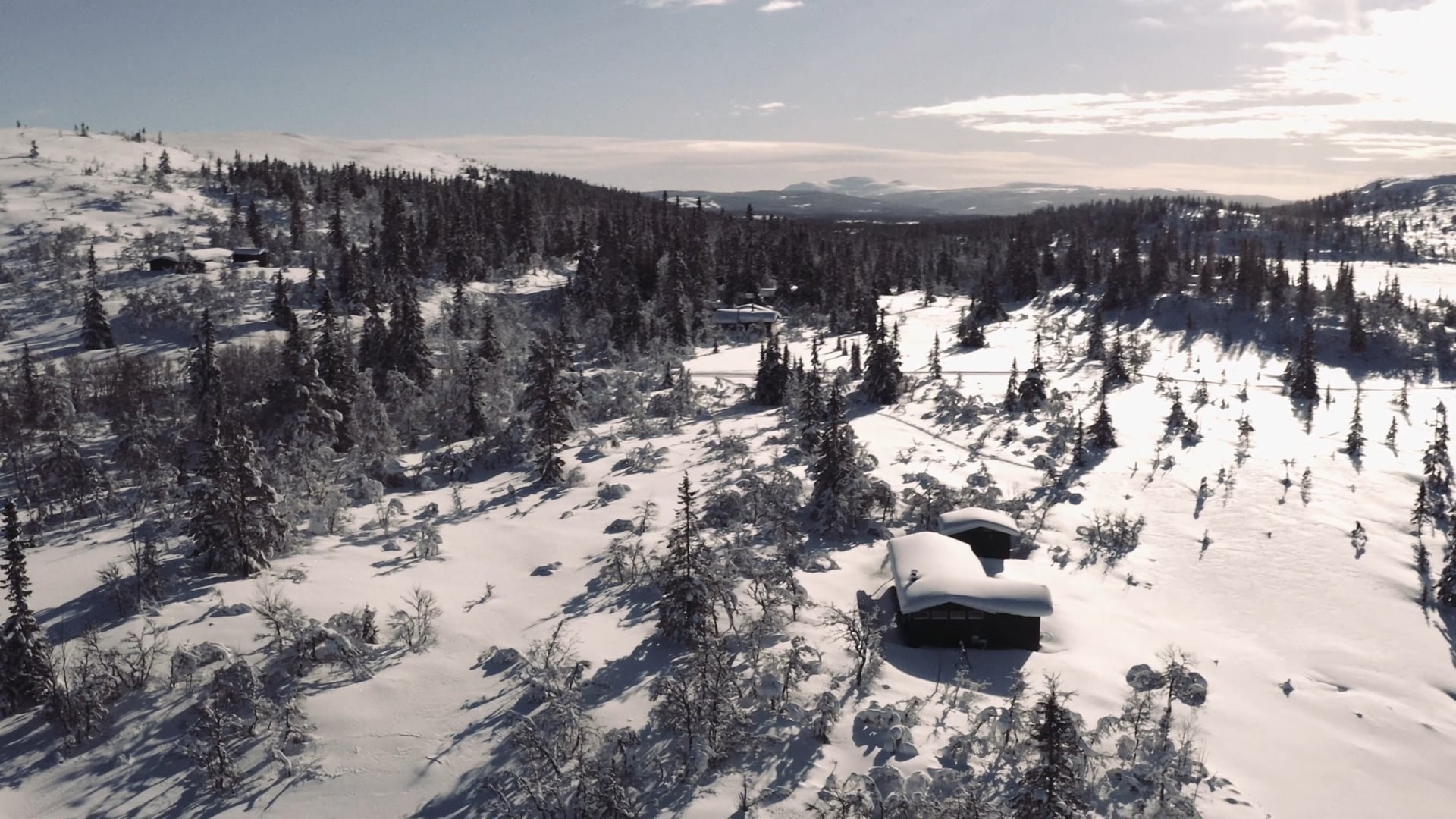 Norwegian Snow