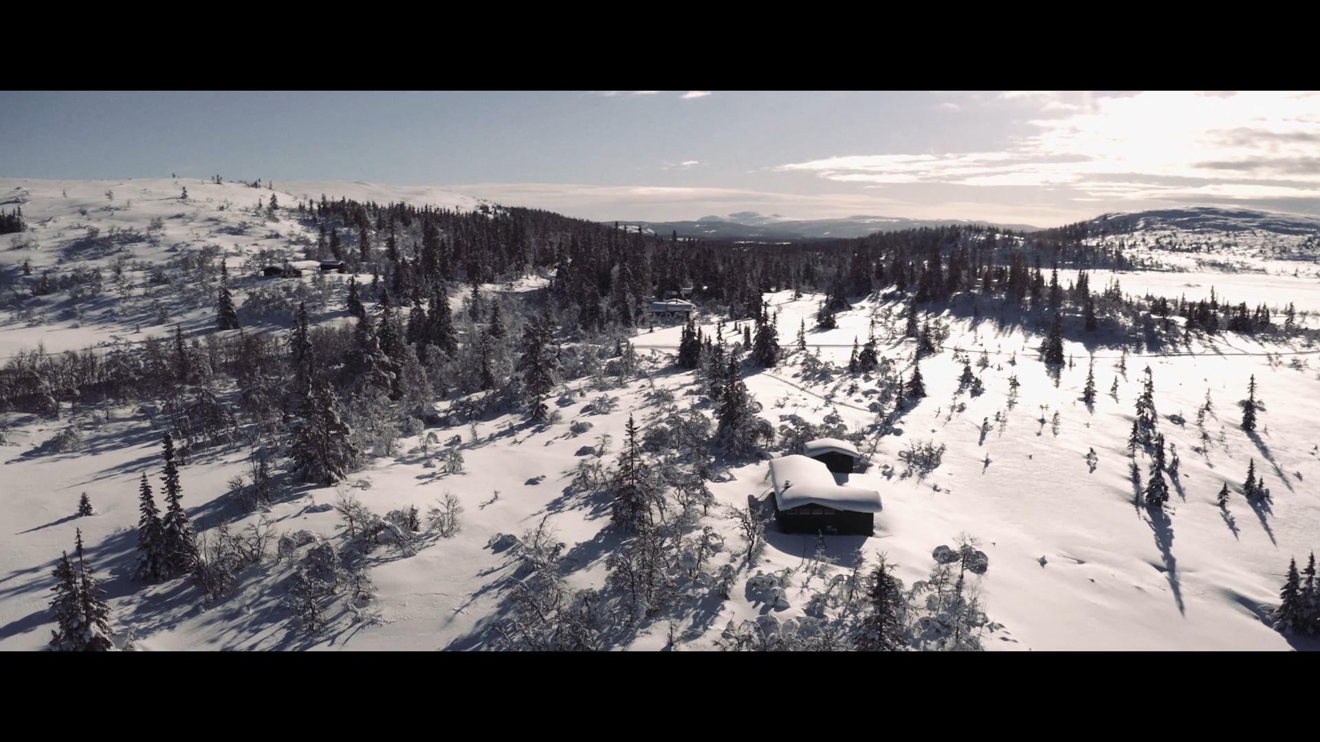 Norwegian Snow