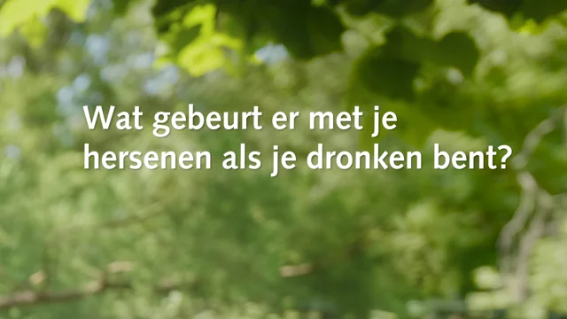 Wat Gebeurt Er In De Hersenen Als Je Dronken Bent? - Alcoholinfo.Nl