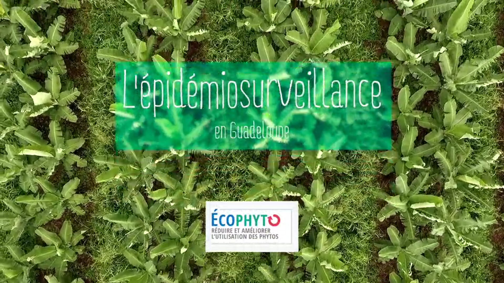 EPIDEMIO V2