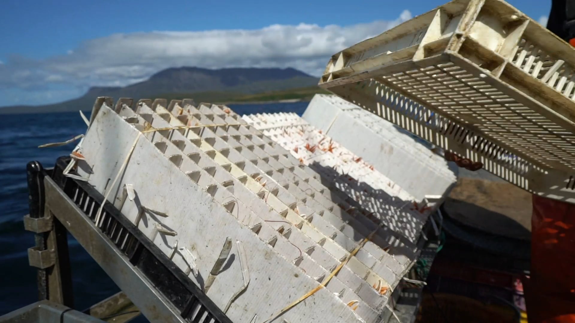 Seafood Shack, Ullapool, West Scotland