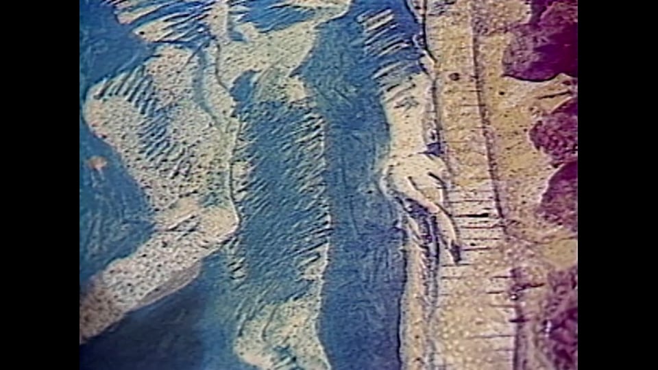 Priceville Prints