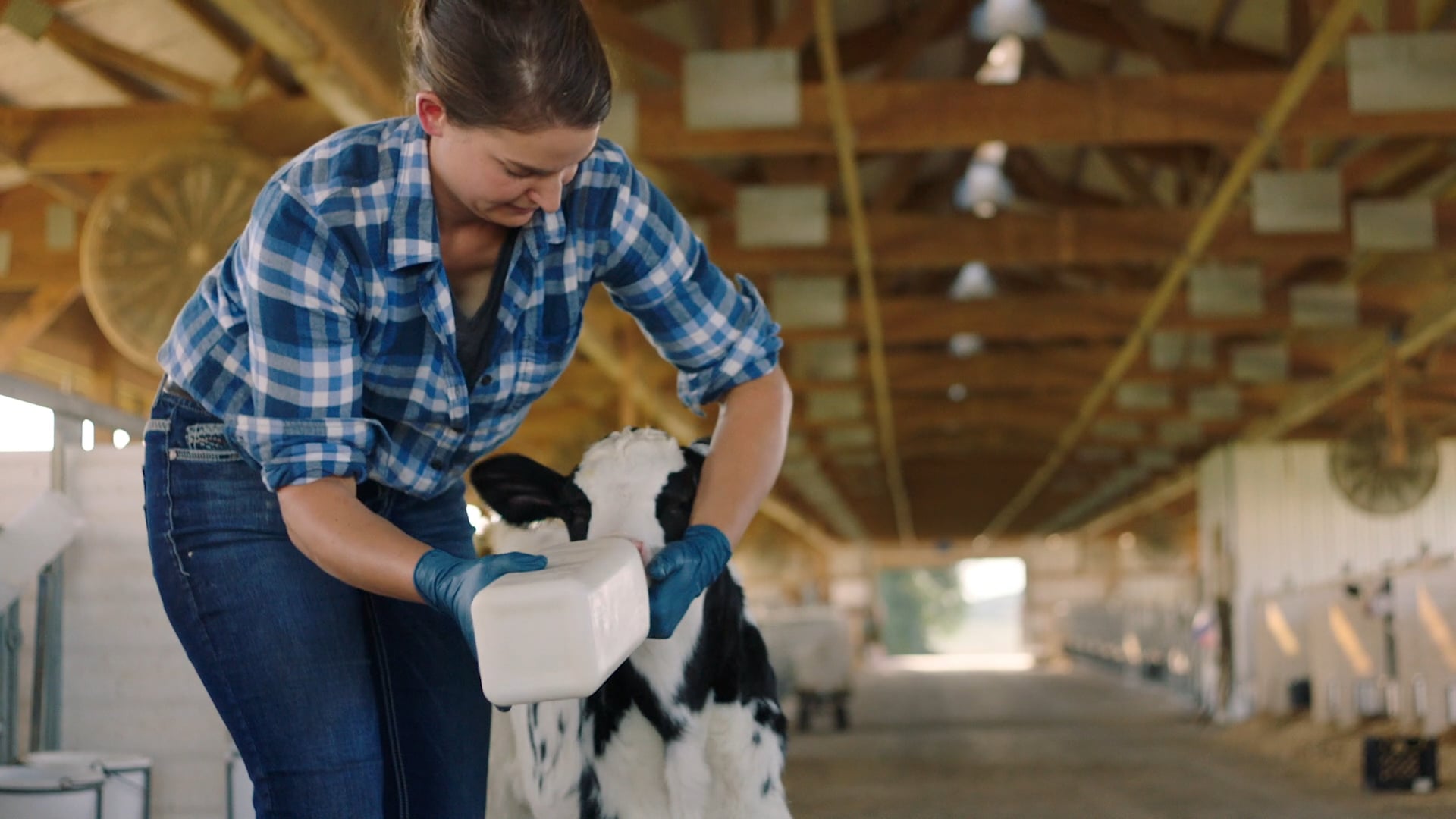 Dairy Farmers Wisconsin - FOLLOW THE LIGHT