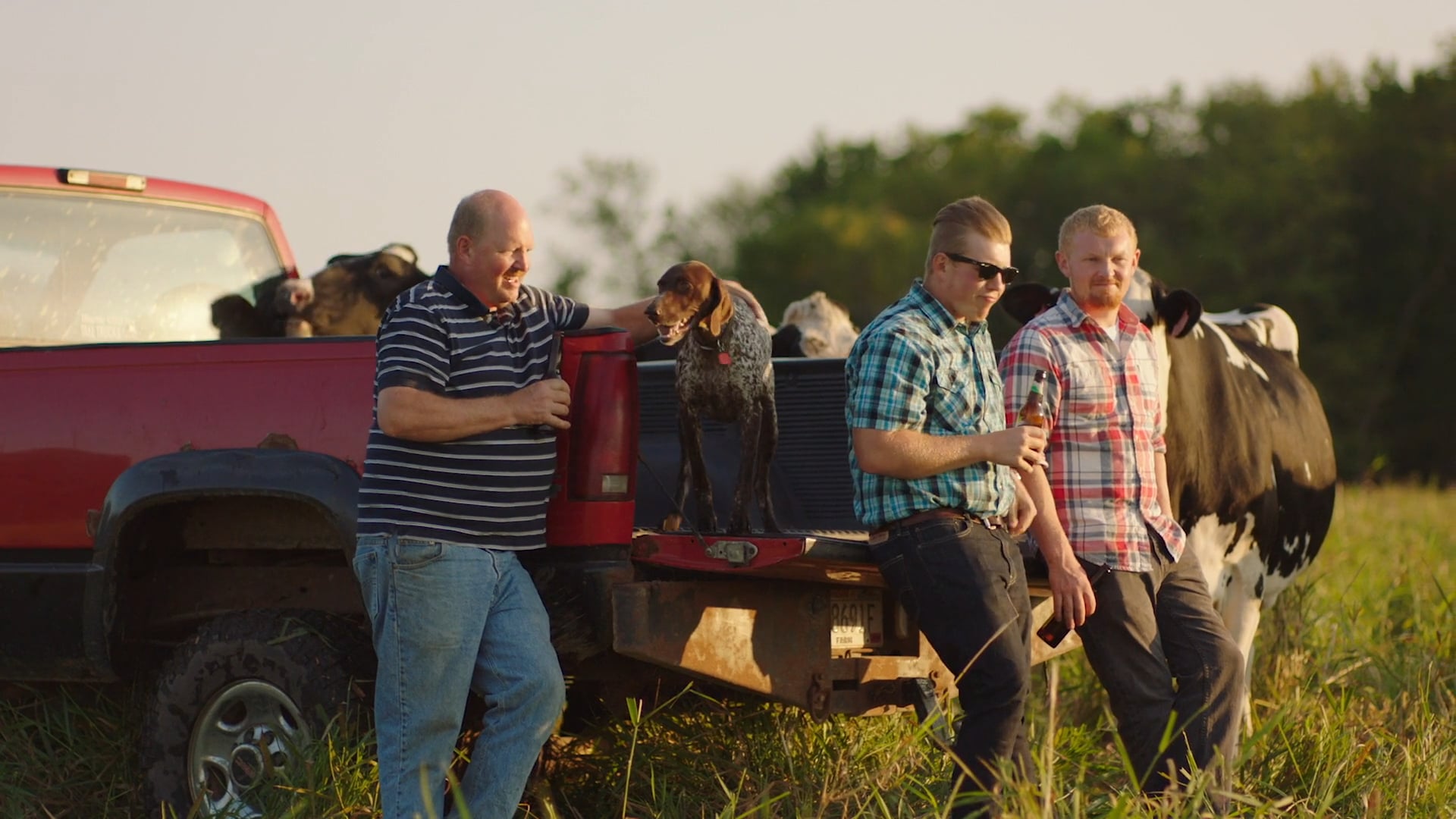Dairy Farmers Wisconsin - THREE MEN AND A DAIRY