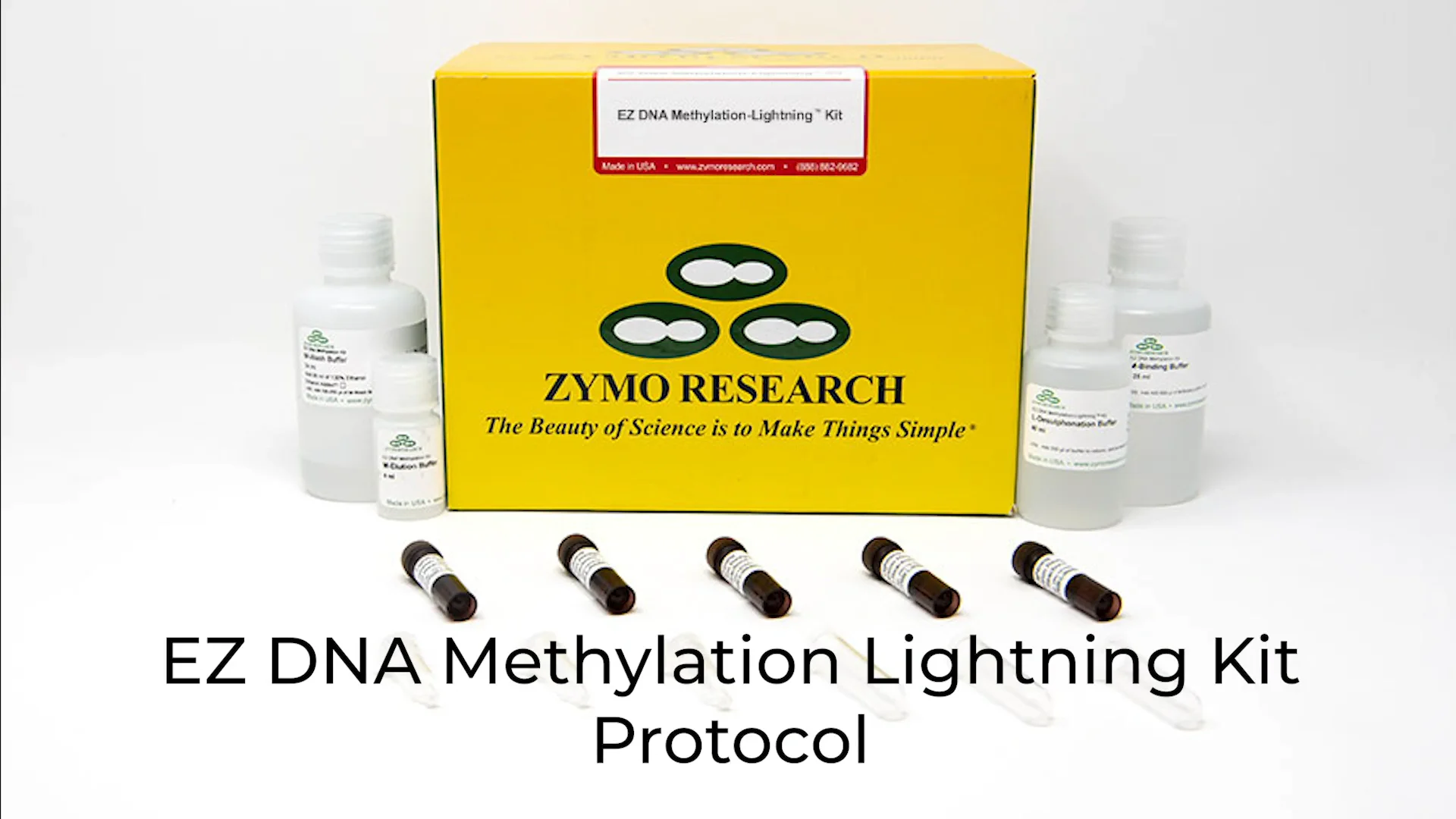 EZ-96 DNA Methylation-Lightning MagPrep
