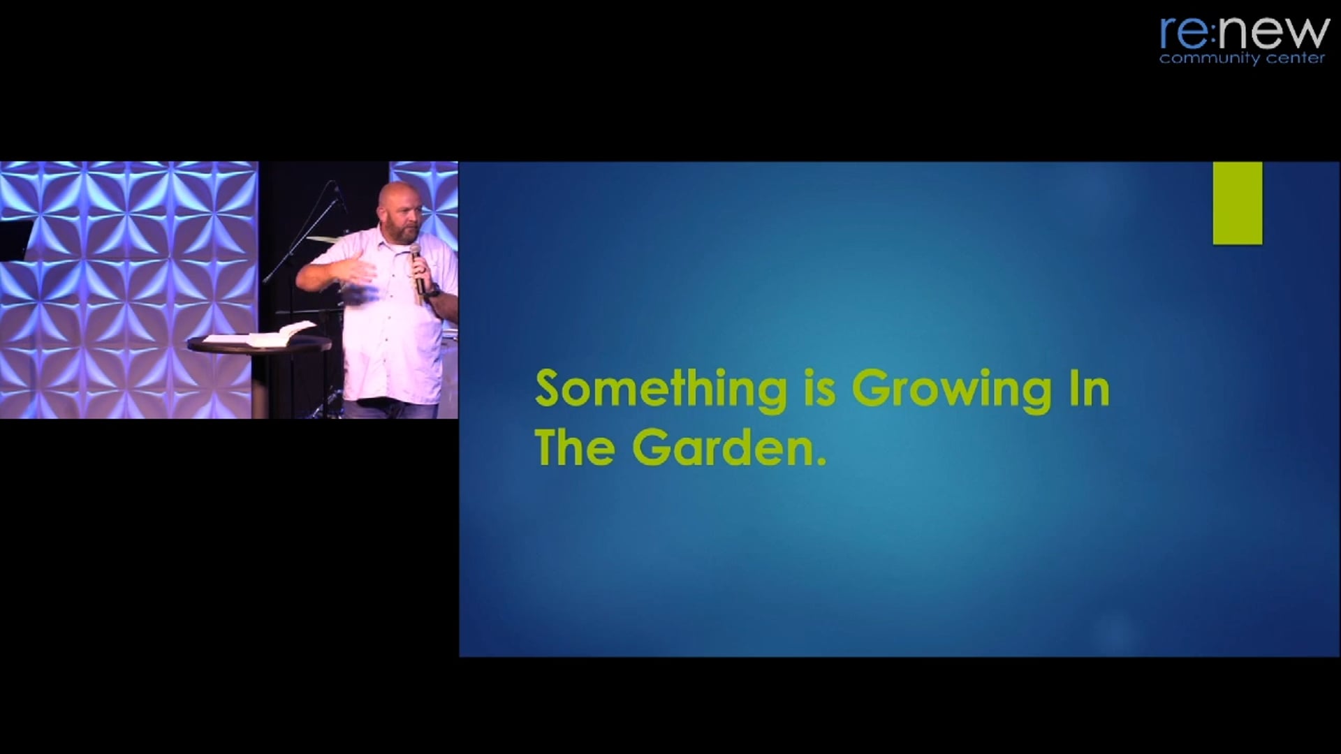 Something is Growing in the Garden