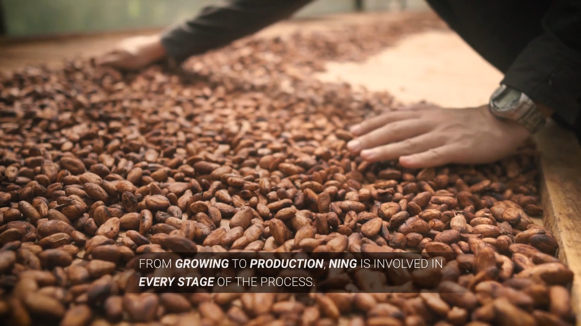 The Chocolate Maker