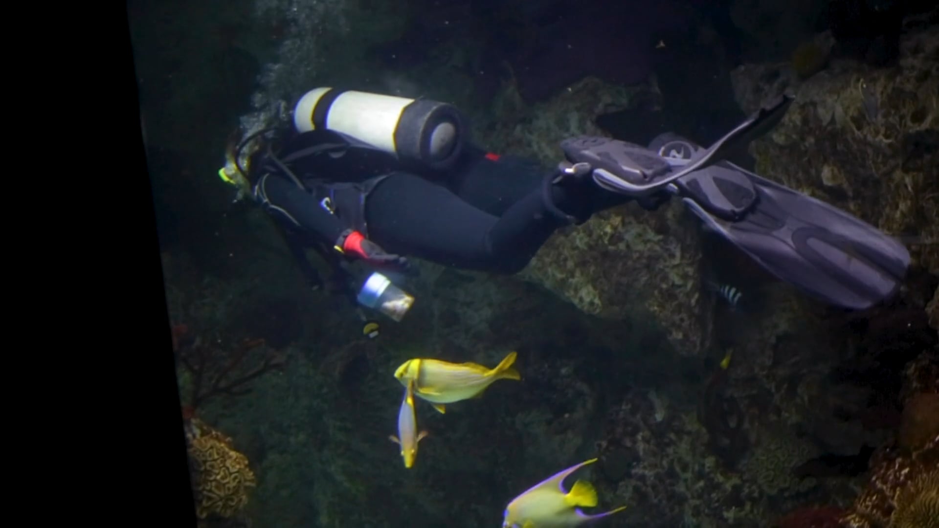 Stress Incontinence - Johns Hopkins Bayview