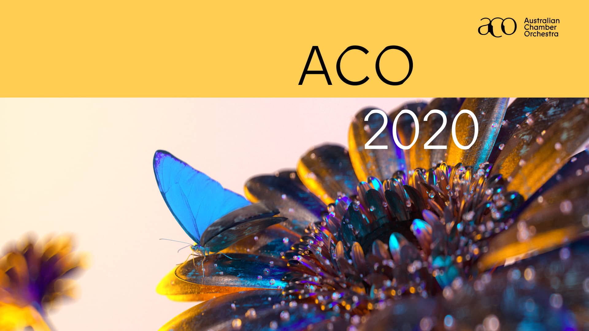 ACO 2020 by SUBSTANCE on Vimeo