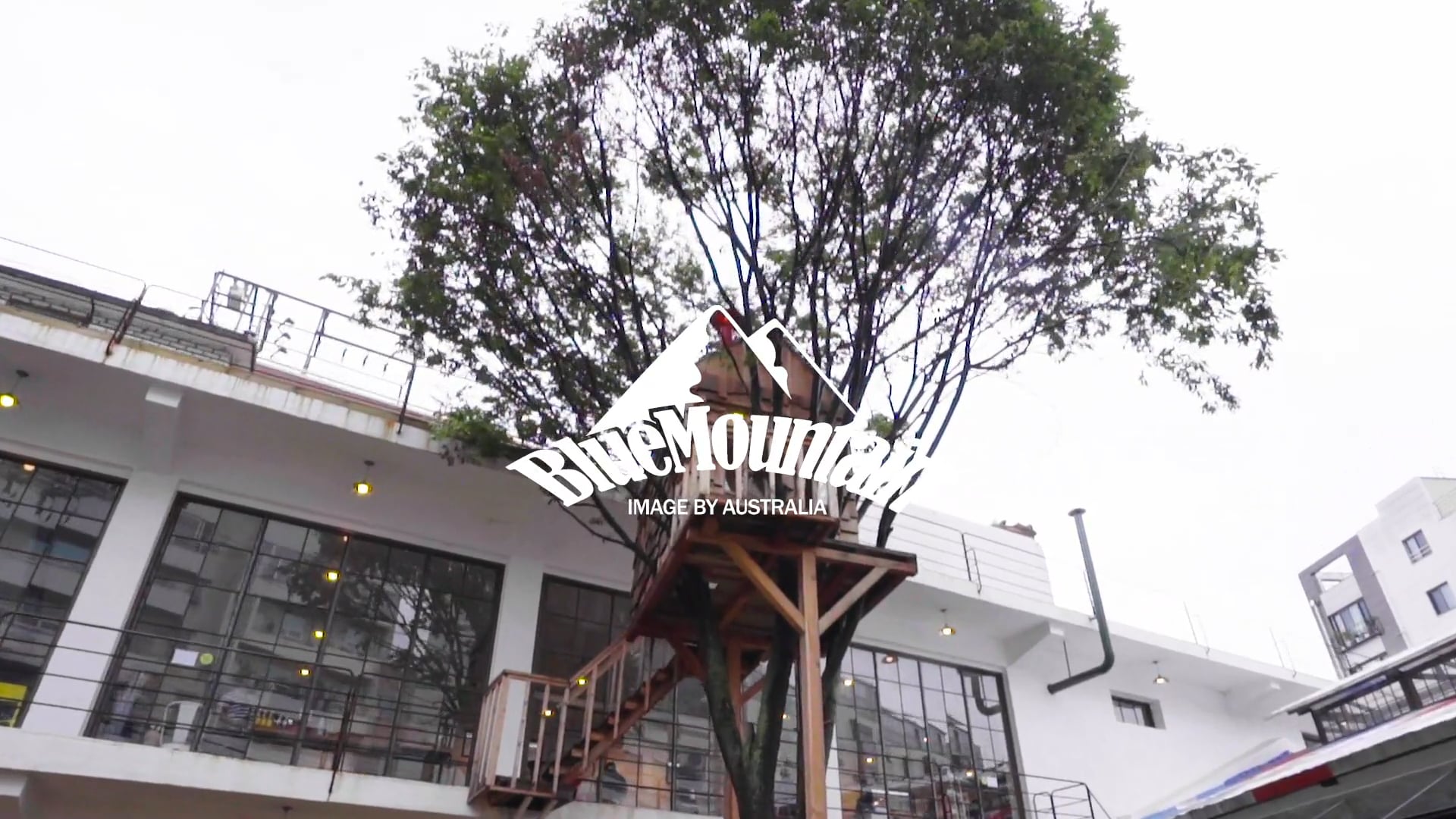 Bluemountan Brand Party [연출, 촬영, 편집]