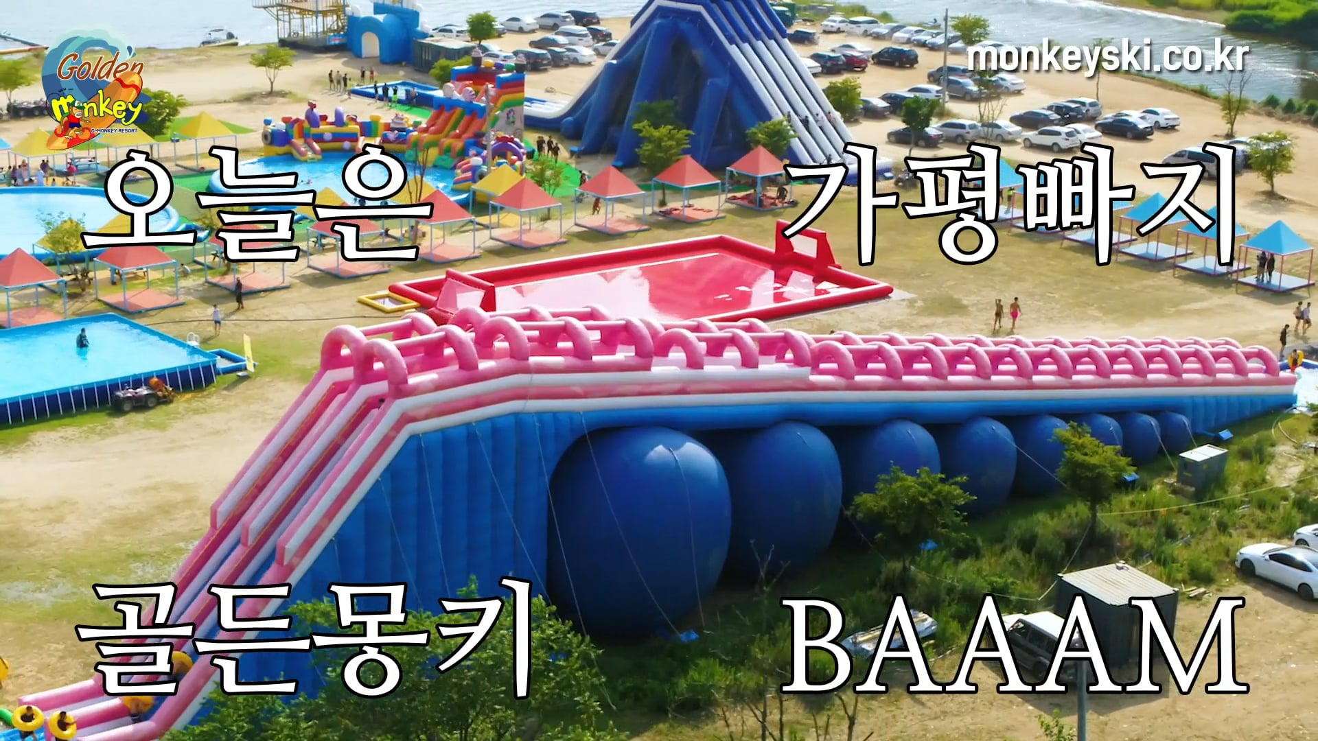 Goldenmonkey SNS Video [연출, 촬영, 편집]