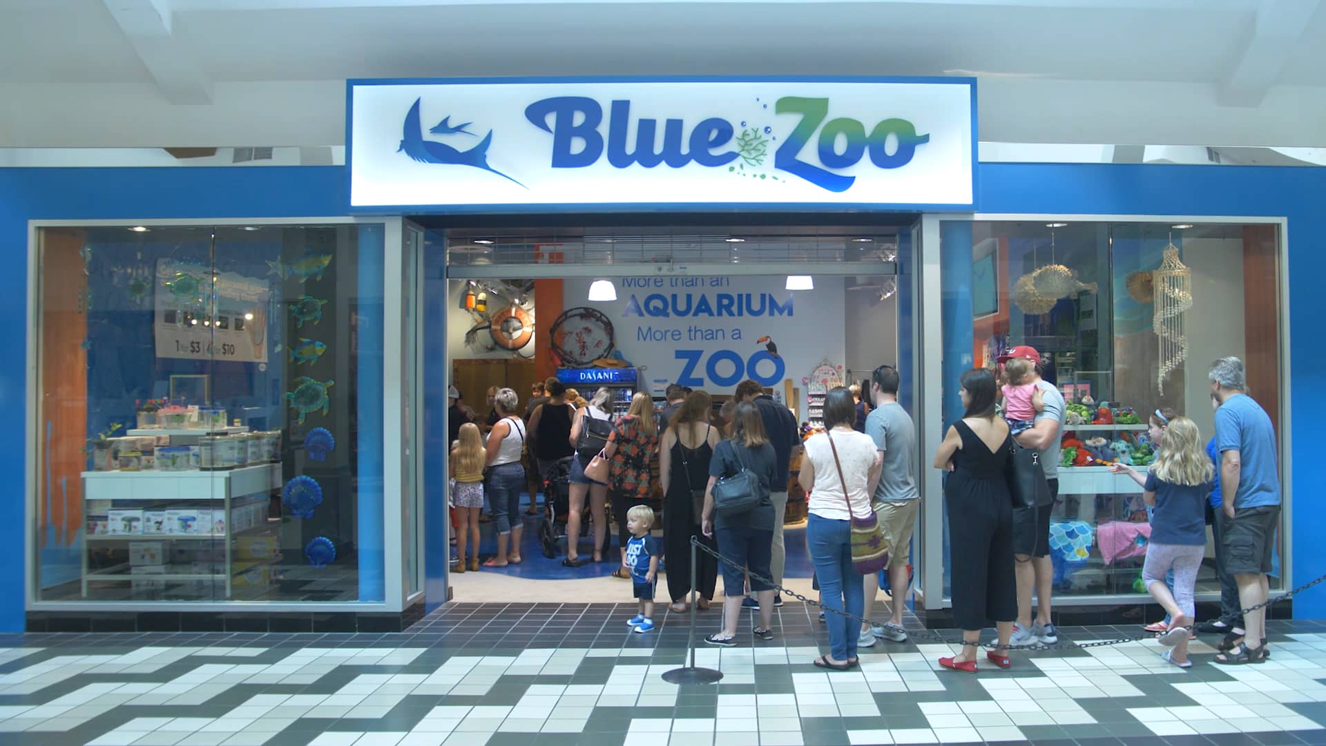 Blue Zoo Tour 60 on Vimeo