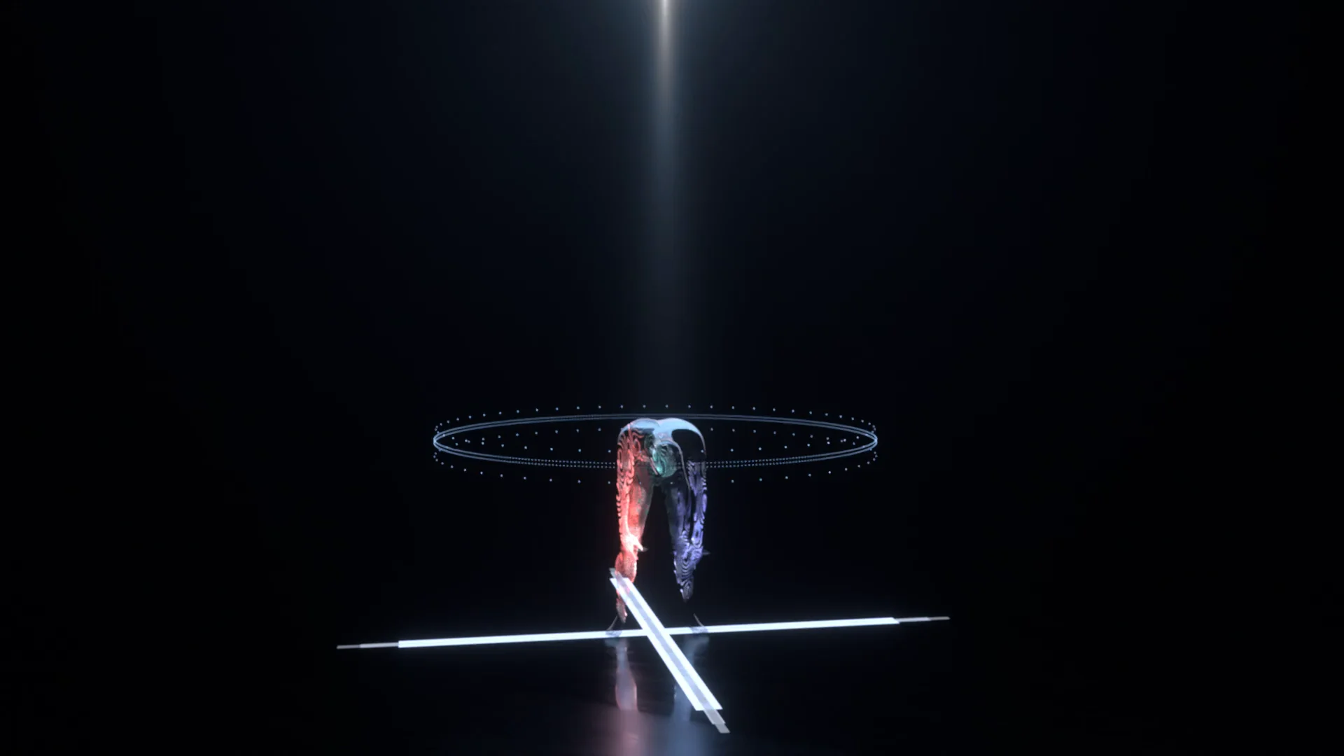 Human Experiments on Vimeo
