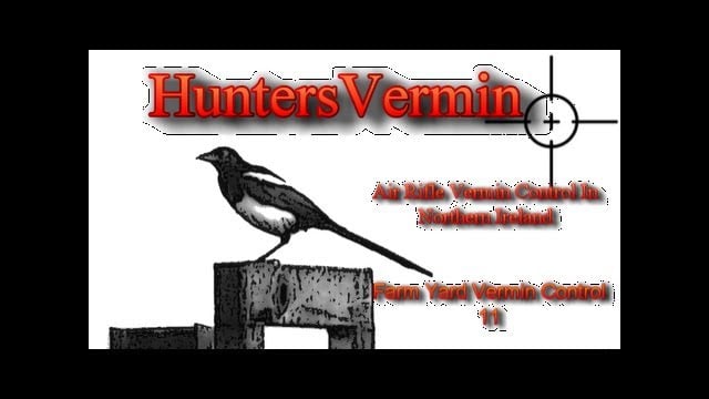 Air Arms Hunting Sa Matt Dubber Hunting Reviews Education Air Rifle Hunting Farmyard Vermin Control 11 12