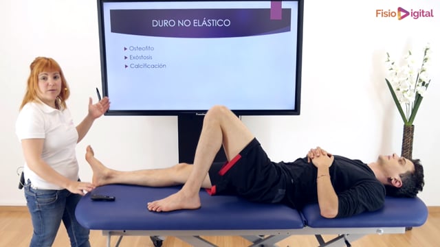 Tu soporte diario de fisioterapia FisioDigital