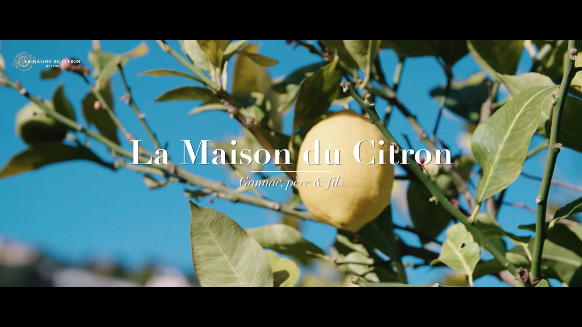 La Maison du citron - Gannac, père et fils
