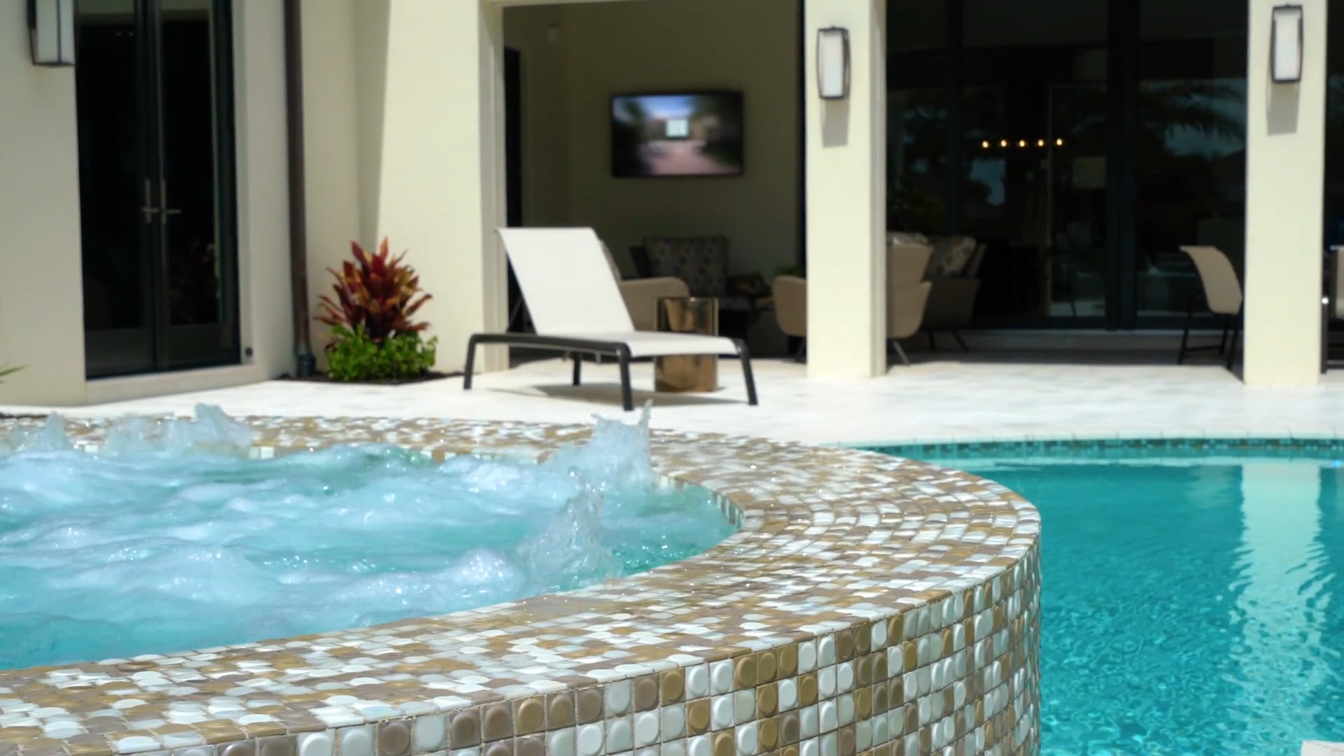 The Falerno Model Teaser