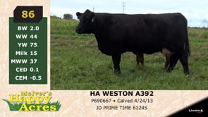 Lot #86 - HA WESTON A392