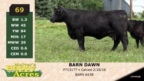 Lot #69 - BARN DAWN