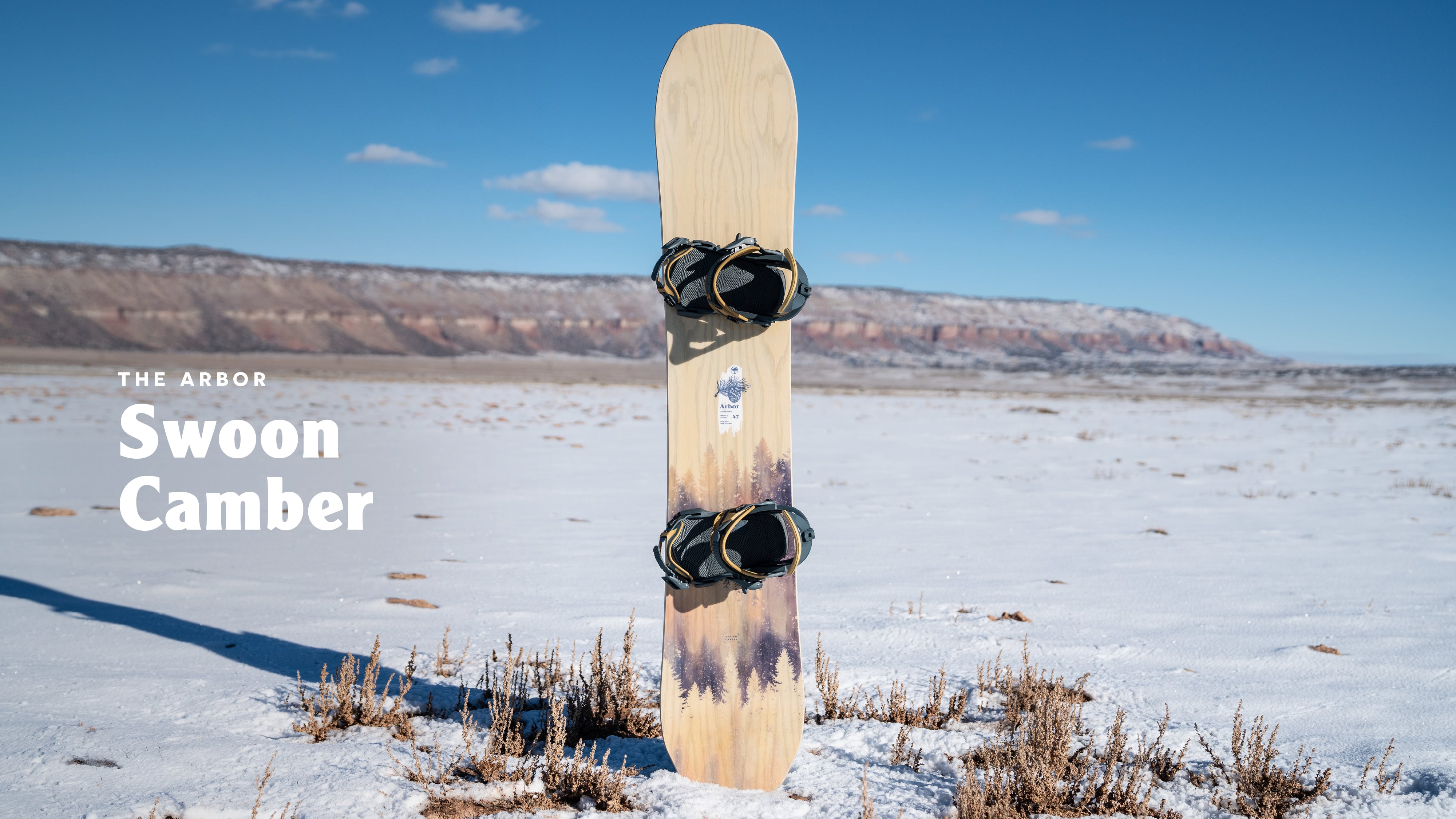 Arbor Snowboards :: Swoon Camber 2019/20