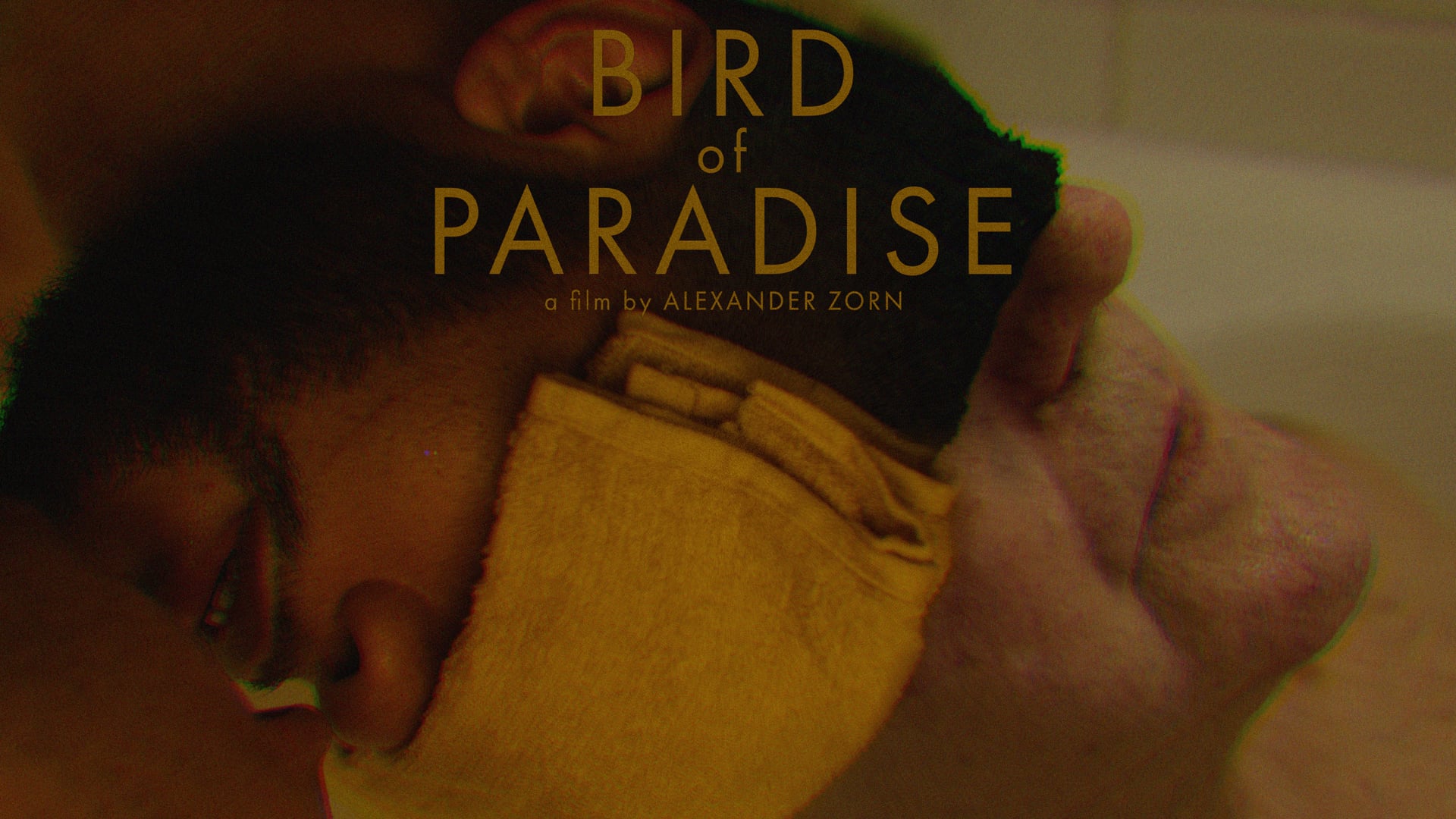 Bird of Paradise (Official Trailer)