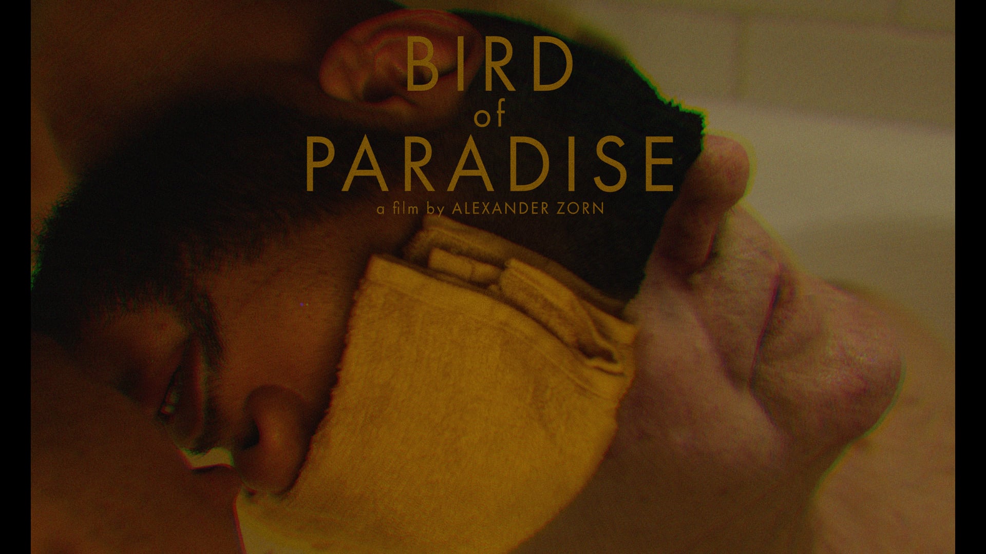 Bird of Paradise (Official Trailer)