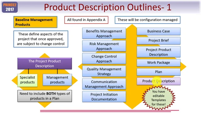 prince2 2017 module2 lesson1