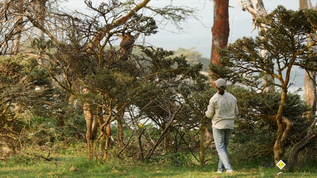 Naivasha, Crescent Island avec Hors Pistes Voyages