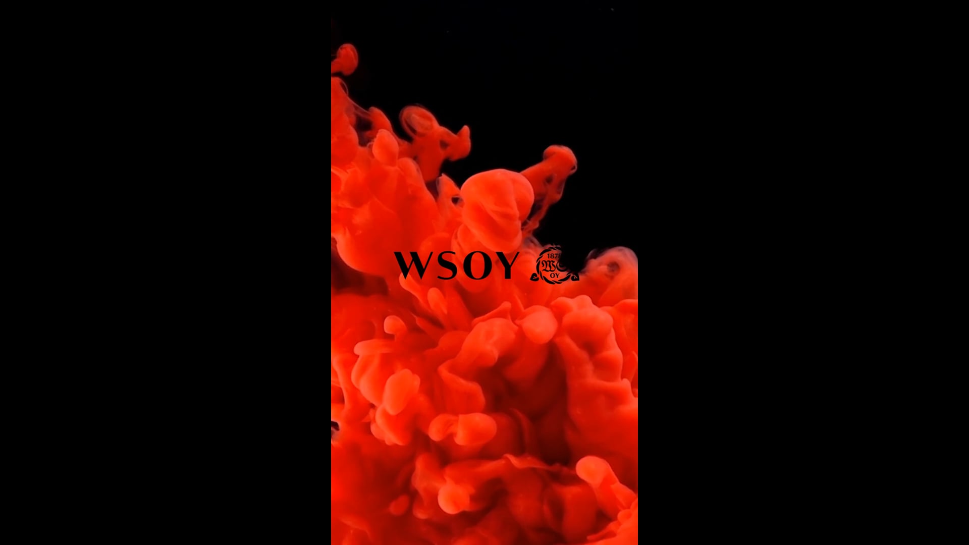 WSOY / Elina Hirvonen, Punainen myrsky