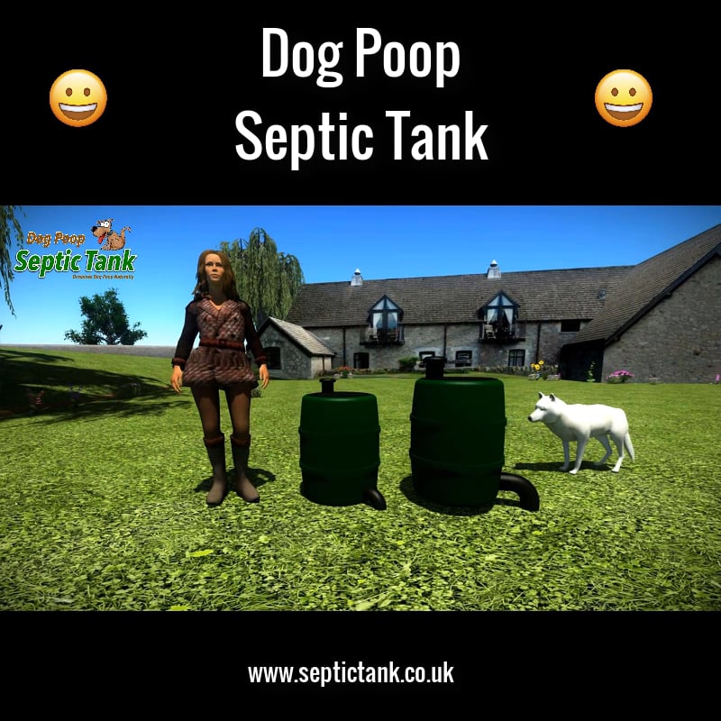 Where To Dispose Of Dog Poo On Vimeo