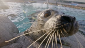 Virginia Aquarium - Customer Success Story