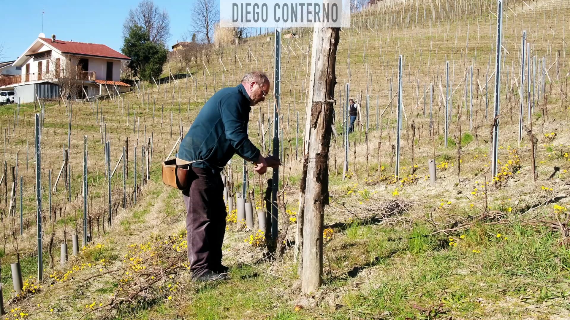 Diego Conterno | La potatura