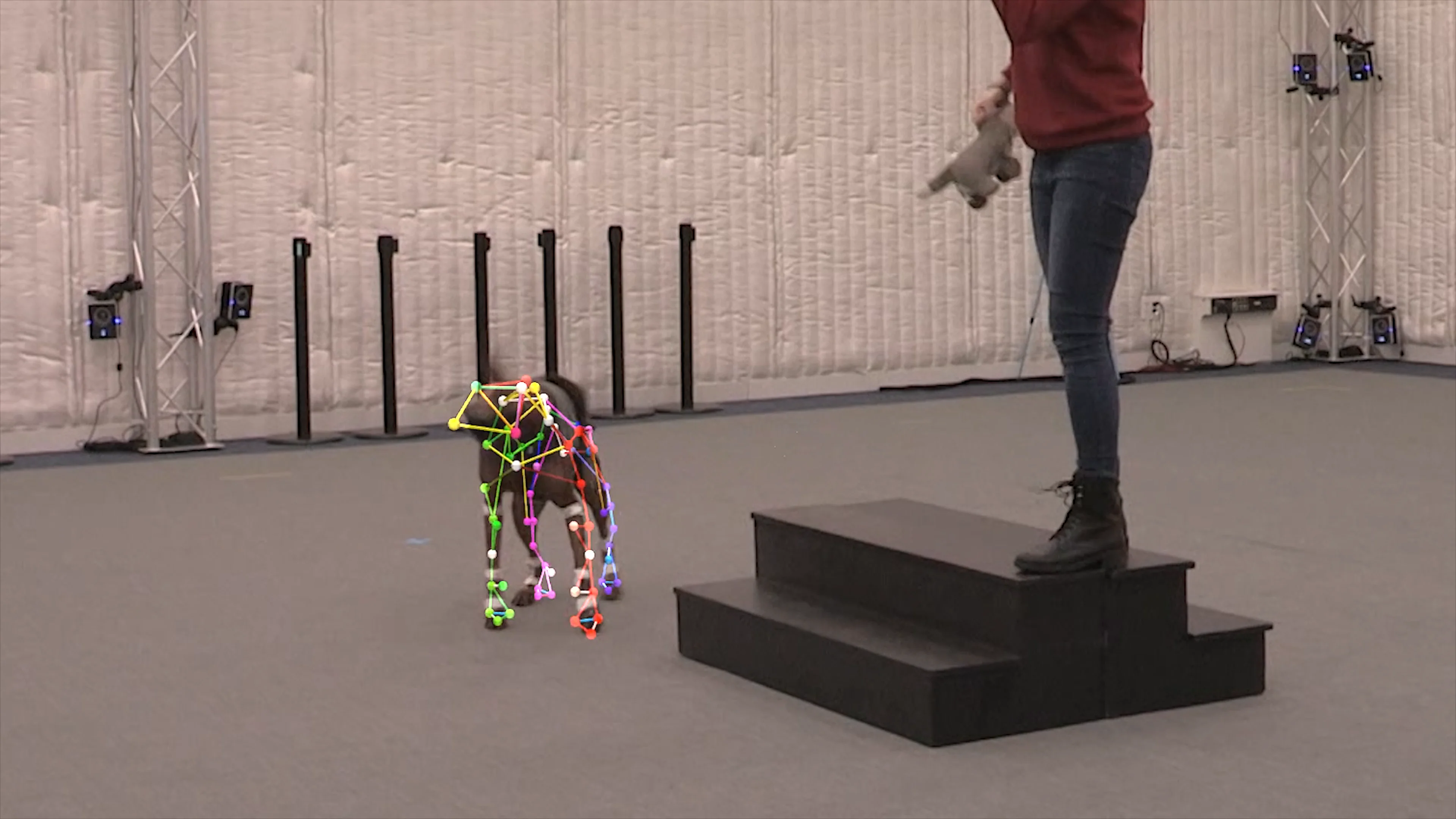 Quadruped Motion Capture Data Processing Reel on Vimeo