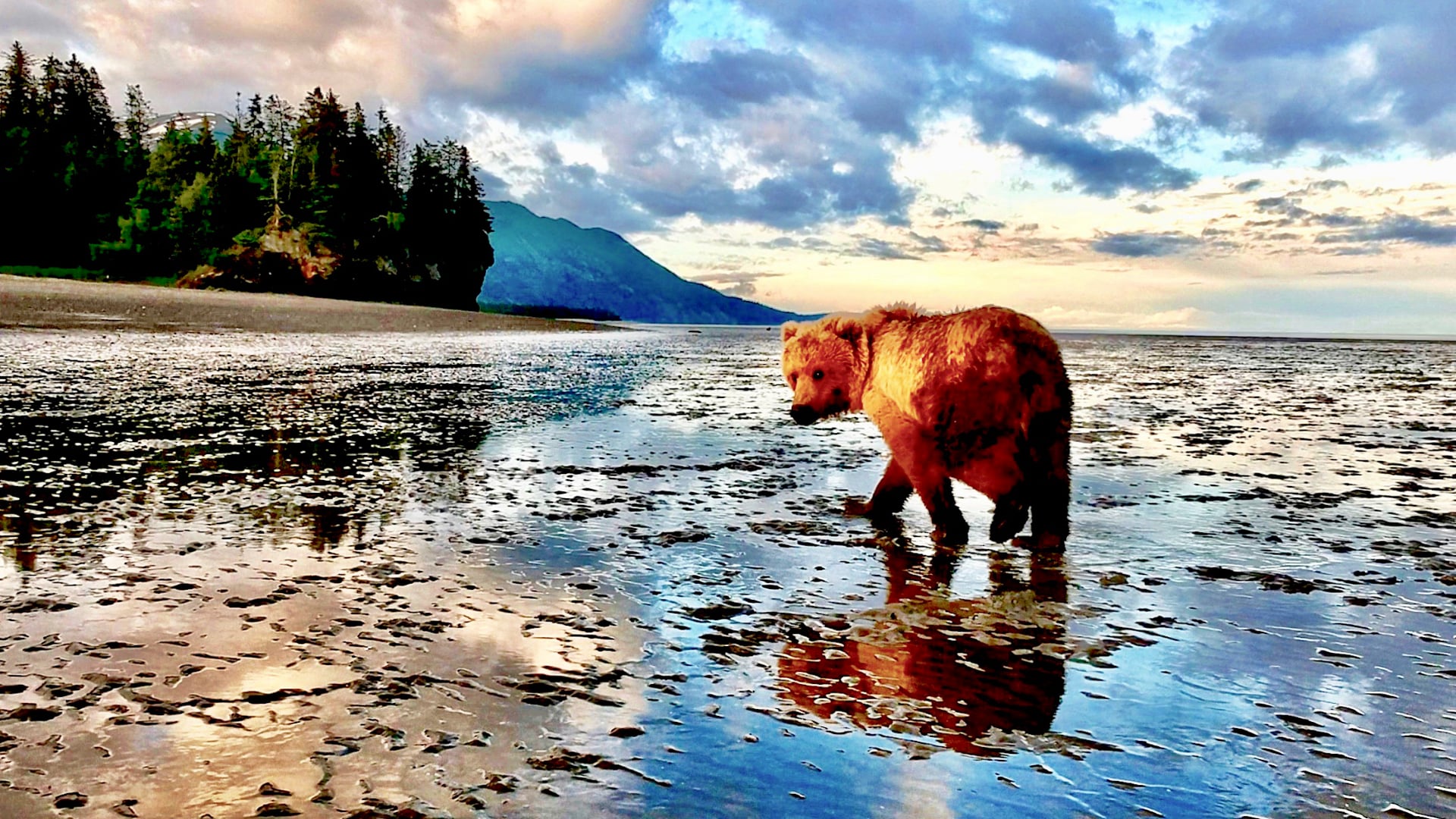 TRGH 27 Balls Deep Alaska