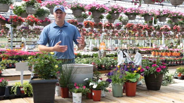 How to Create a Spring Container Garden