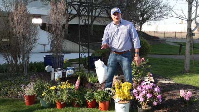 AJ’s Spring Favorites